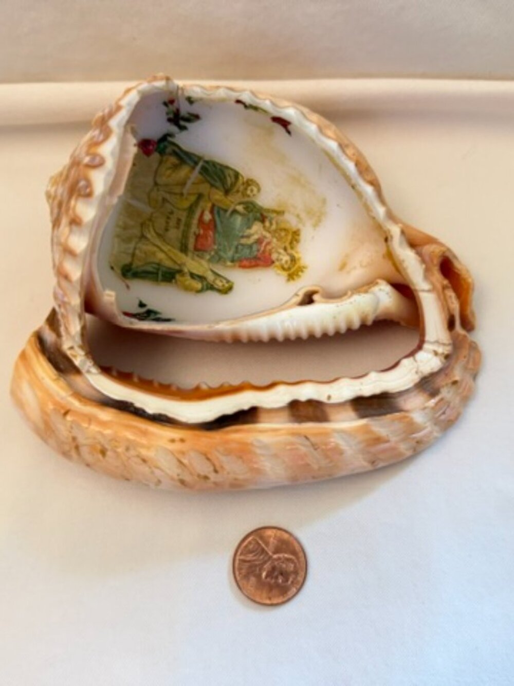 Vintage Seashell Art - Picture 7 of 7